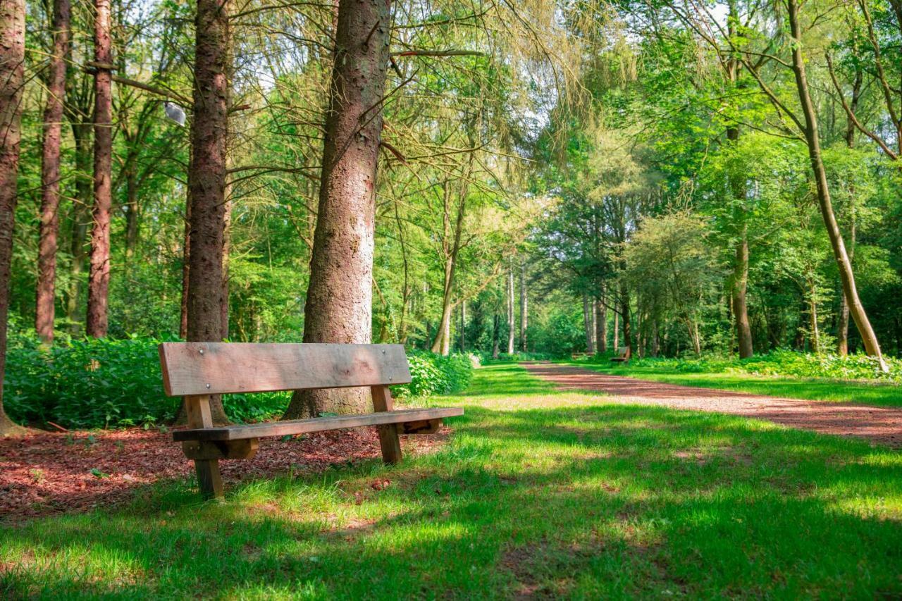Vakantiepark Westerwolde Pagedal 斯塔茨卡纳尔 外观 照片